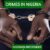Full List of Punishable Crimes in Nigeria