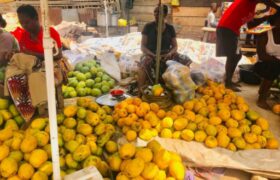 mango farming in Nigeria